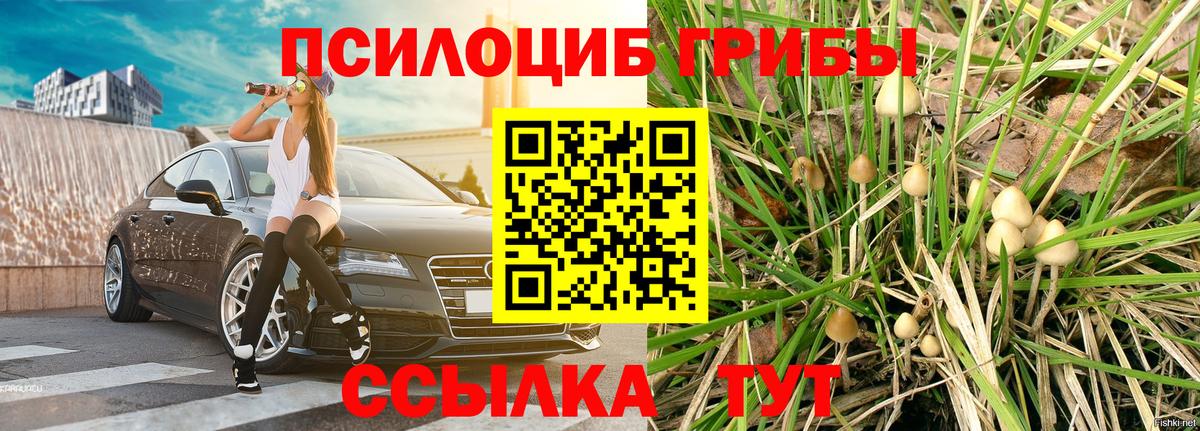 наркошоп  Вход с VPN  Россия  Псилоцибиновые грибы Magic Shrooms 