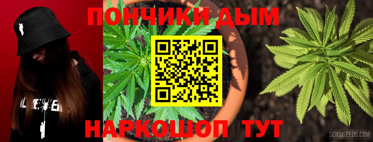 Конопля сатива Россия